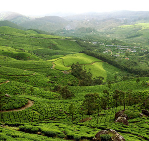 munnar